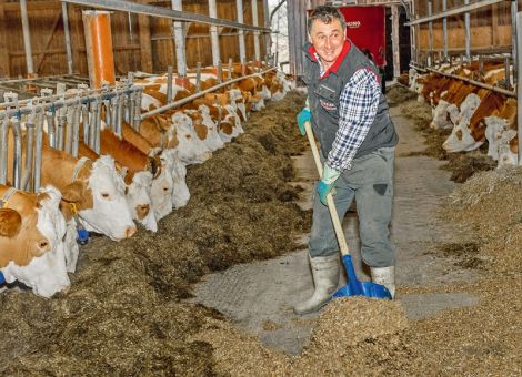 Arbeitsorganisation stetig verbessern