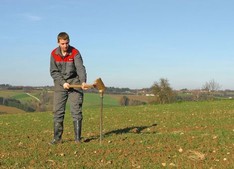 Durchweg niedrige N-Mengen im Boden