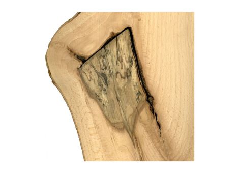 Wertvollere Stämme durch Grünästung von Laubholz