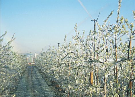 Frostschutzberegnung – woher das Wasser nehmen?