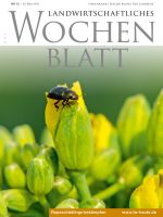 Ausgabe 12/2018 Ausgabe 12/2018
