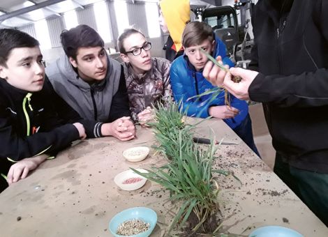 Forstwirt, Landwirt oder lieber Landschaftsgärtner?