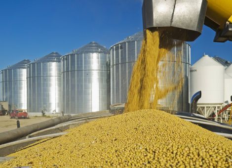 Landwirtschaft gerät in den Handelsstreit mit den USA