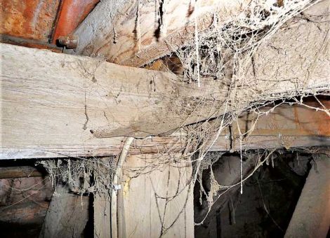 Lagerstätten konsequent auf die Ernte vorbereiten