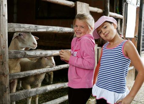 Landwirtschaft bewusst erleben