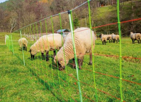 Neue Weidezaunnetze für Schafe und Ziegen