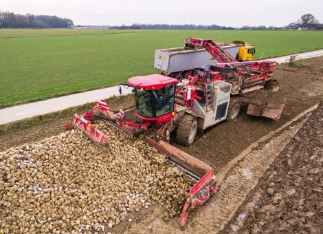 EU-Zuckerversorgung soll knapp werden