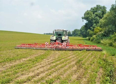 Unkraut mechanisch packen