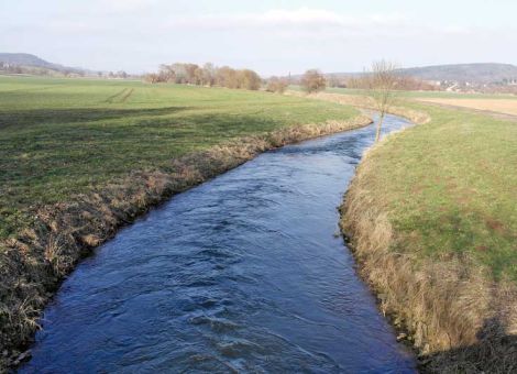 Im Vier-Meter-Bereich weder Düngung noch Pflanzenschutz