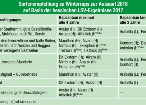 Nur noch eine Liniensorte in der Empfehlung