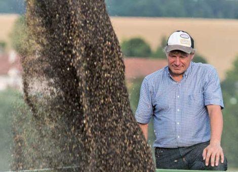 Die Marktleistung entscheidet über die Sortenwahl