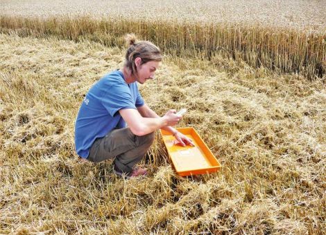 Die aktuelle Ernte wirft Fragen auf