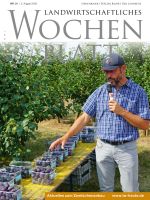 Ausgabe 31/2018 Ausgabe 31/2018