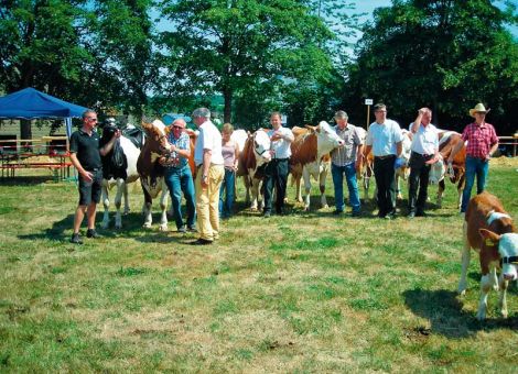 Bezirkstierschau in Ulrichstein zog viele Besucher an