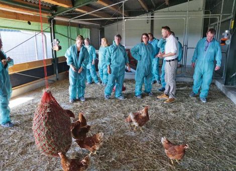 Tierwohl, „bioregionale“ Produkte, Anbaualternativen