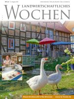 Ausgabe 32/2018 Ausgabe 32/2018