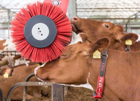 Lely Luna weiterentwickelt für noch höheren Kuhkomfort