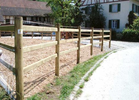 Koppelweiden für Pferde sicher einzäunen