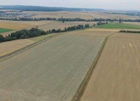 „Mit der Rapsaussaat warten“