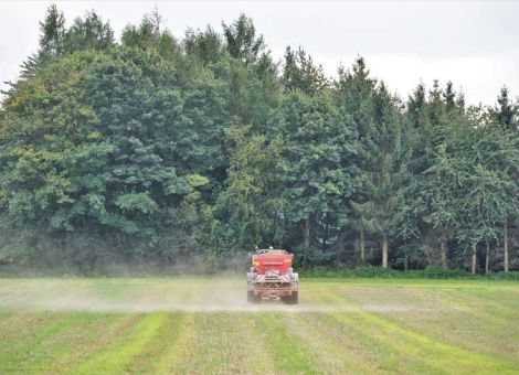 Kalkung verbessert die Bodenfruchtbarkeit