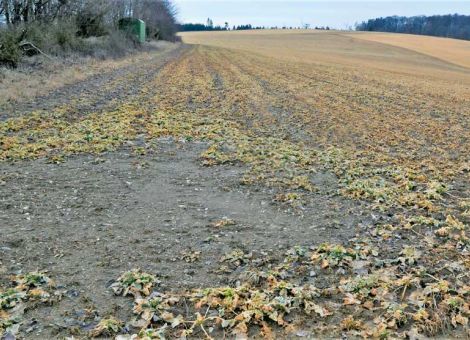 Die Trockenheit setzt sich weiter fort