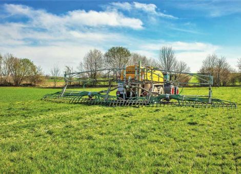 Trotz geringem Herbst-Bedarf gute Stickstoff-Fixierung