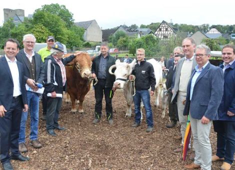 Spitzentiere verschiedener Rassen in Runkel