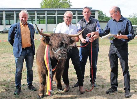 Rinder, Schafe und Ziegen im Diemelstädter Schönheitsring
