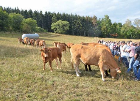 Limousin-Züchter in Eiterfeld unterwegs