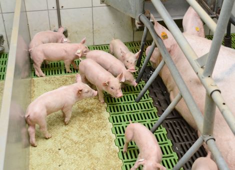 Anträge auf Fristverlängerung bekommen keine Mehrheit