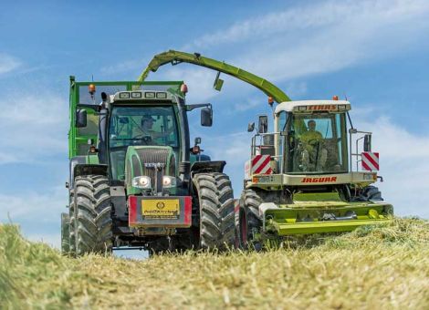 Grassilage in diesem Jahr kann sich sehen lassen