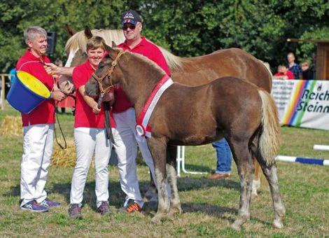 Schwarzwälder Füchse in Usingen vorne