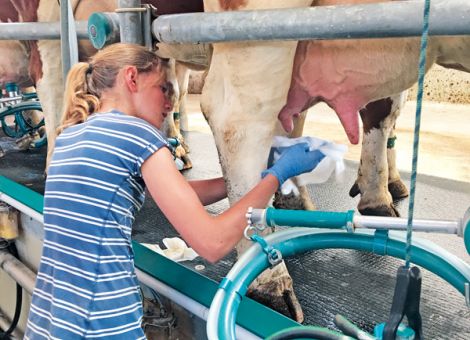 Neuinfektionsrate in der Trockenperiode
