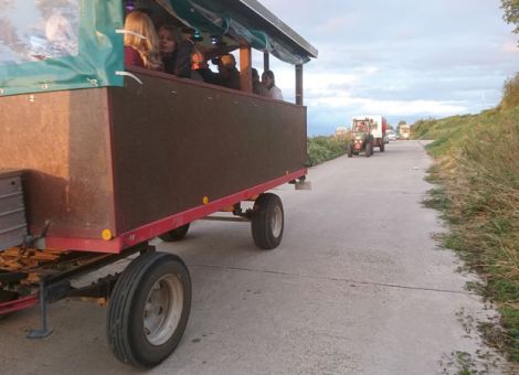 Weinbergsrundfahrten dürfen weiterhin durchgeführt werden