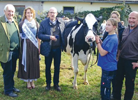Jubiläumsmarkt in Steinbach mit Kreisrinderschau
