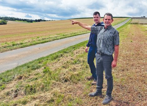 Landwirt zieht Bauantrag für Hähnchenmaststall zurück