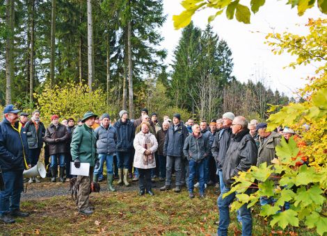 Hoher Kapitaleinsatz, wenig Rendite für Erhalt des Waldes