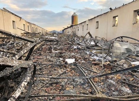 Großbrand auf Legehennenbetrieb