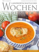 Ausgabe 47/2018 Ausgabe 47/2018