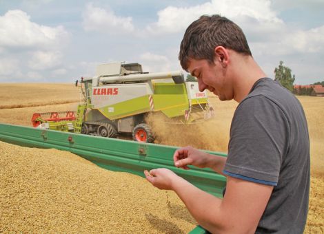 Getreide: Trockenheit sorgte für niedrige Rohproteingehalte