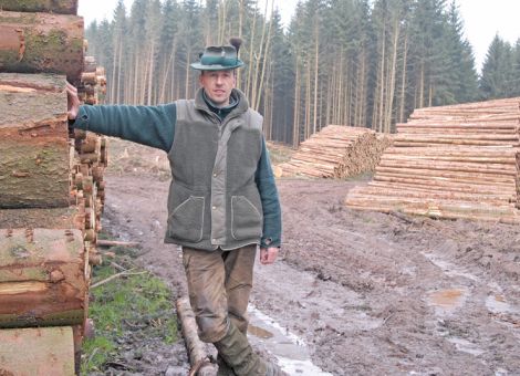 Holzvermarktung: Ministerium gewährt Übergangsfristen