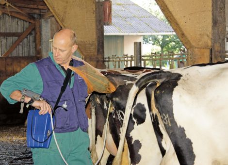 Tierärzte warnen vor Versorgungslücken