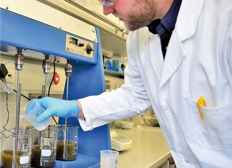 Phosphor – der Schatz schlummert im Mist