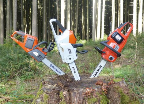 Mit Säge und  zwei Akkus in den Wald