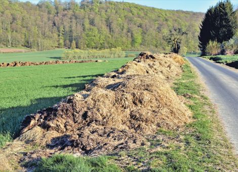 Bei Mist-Lagerung im Feld Sechs-Monate-Frist beachten
