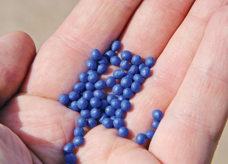 Kein Antrag auf Notfallgenehmigung für Neonics