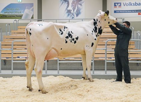 Großes Interesse ausländischer Kunden