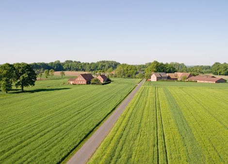 Ziele, Wünsche und Bekenntnisse