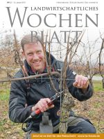 Ausgabe 2/2019