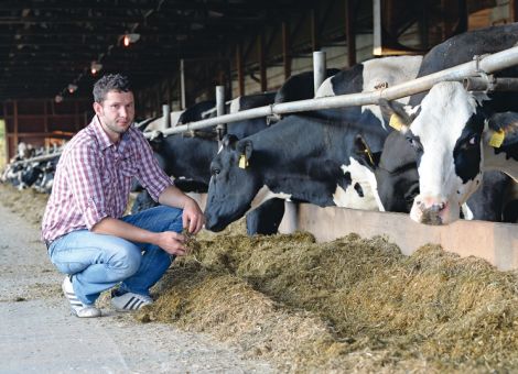Milchpreis-Absicherungsniveau von 33 Cent gibt für DBV das Maß vor